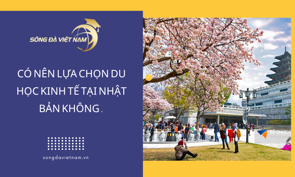 Sông Đà Việt Nam - Niềm vui của bạn là Hạnh phúc của chúng tôi